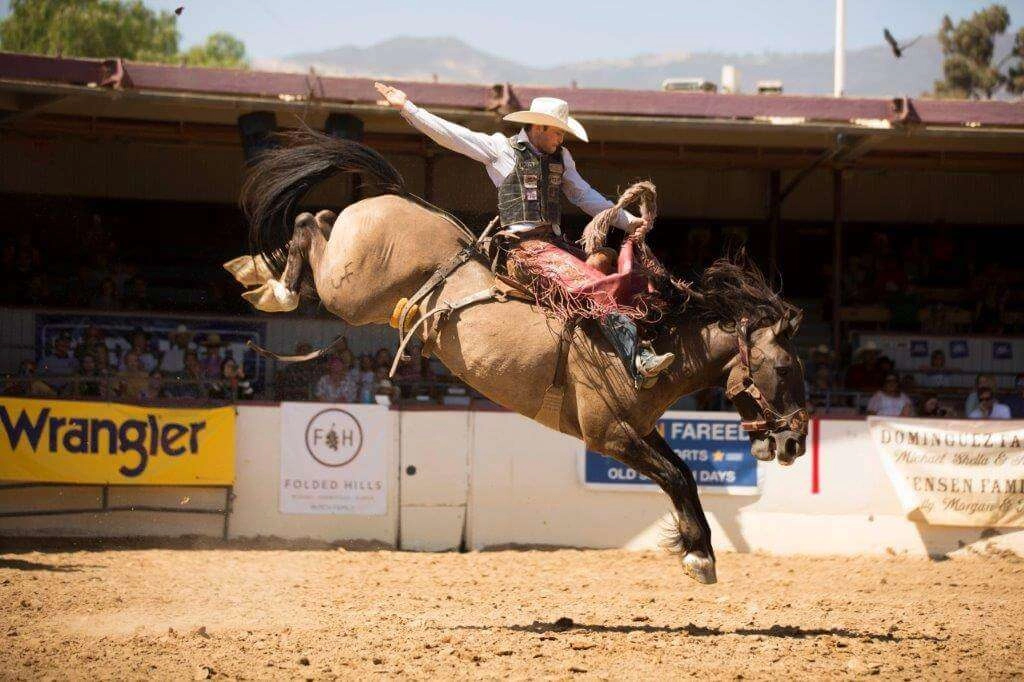 2018 Fiesta Rodeo