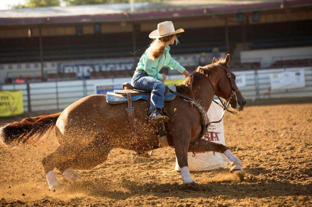 2018 Fiesta Rodeo Horse